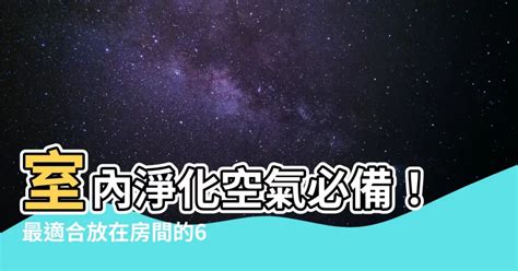 什麼植物可以放房間|2024年精選20種室內植物人氣推薦！同場加映帶來好風水植物的5。